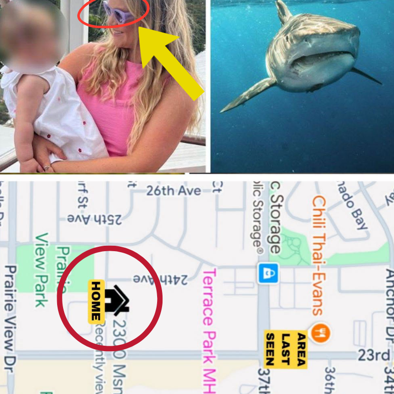 A mother who lost an arm after being attacked by a four-meter-long great white shark has miraculously recovered after receiving life support. NO ONE EXPECTED THAT THE REASON THE SHARK HIT IT WAS FROM A HABIT 90% OF PEOPLE DO…