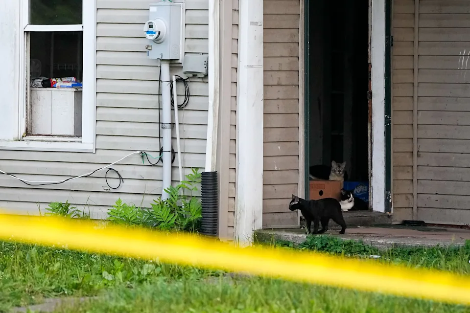 NEIGHBORS RECALL STRANGE SOUNDS FROM THE SIDERS HOME: As investigators examine the Ohio basement case
