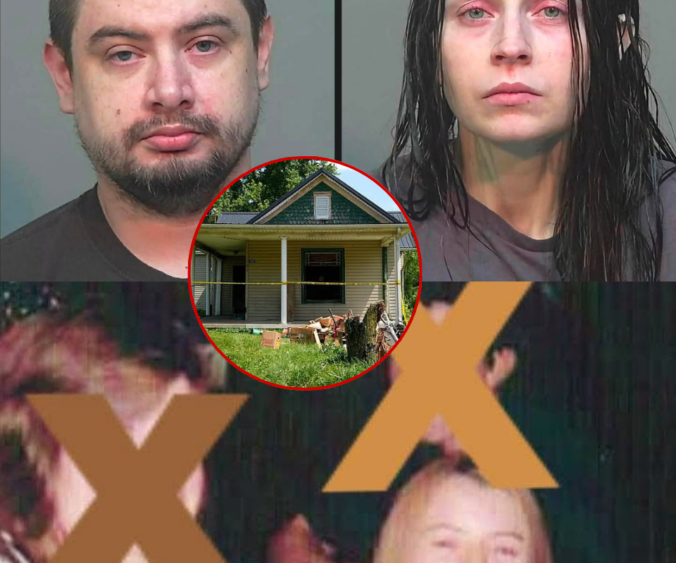 Inside the $12 \times 12$ Cage: A New Video Surfaces, But the Most Horrifying Detail Remains Hidden