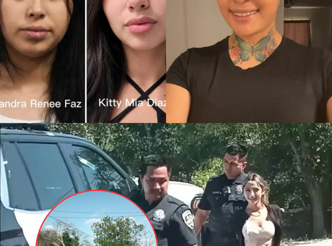Chilling Smile: The eerie grin of the suspect accused of fat@lly st@bbing a Texas mother is drawing renewed attention as a heartbreaking new detail emerges