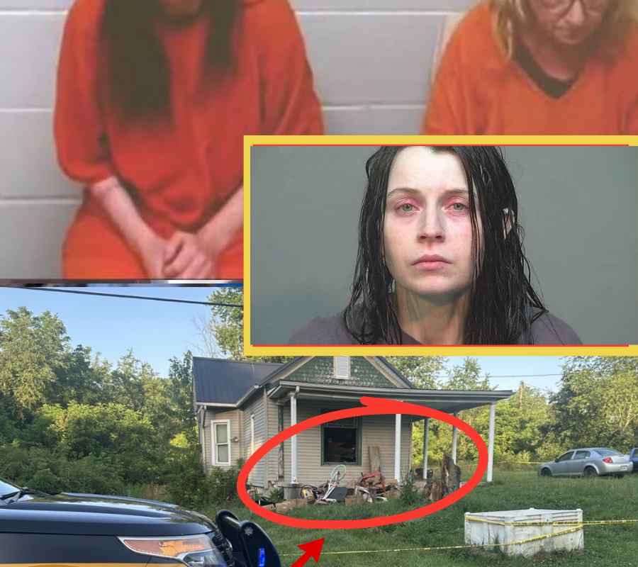 FOUR YEARS IN A BASEMENT, SIXTEEN CHILDREN, ONE DEVASTATING DISCOVERY: Elizabeth Siders’ explanation is now under intense scrutiny
