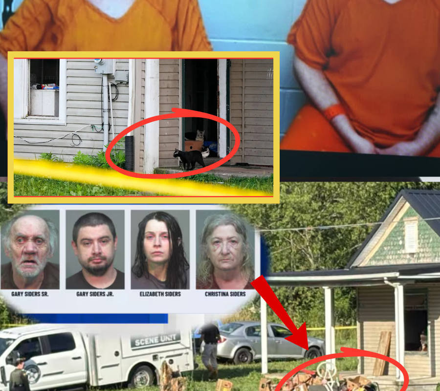 THE MOST MYSTERIOUS ROOM IN THE OHIO BASEMENT: Investigators say the locked room at the center of the Elizabeth Siders case contained items now being examined as crucial evidence… 👇👇