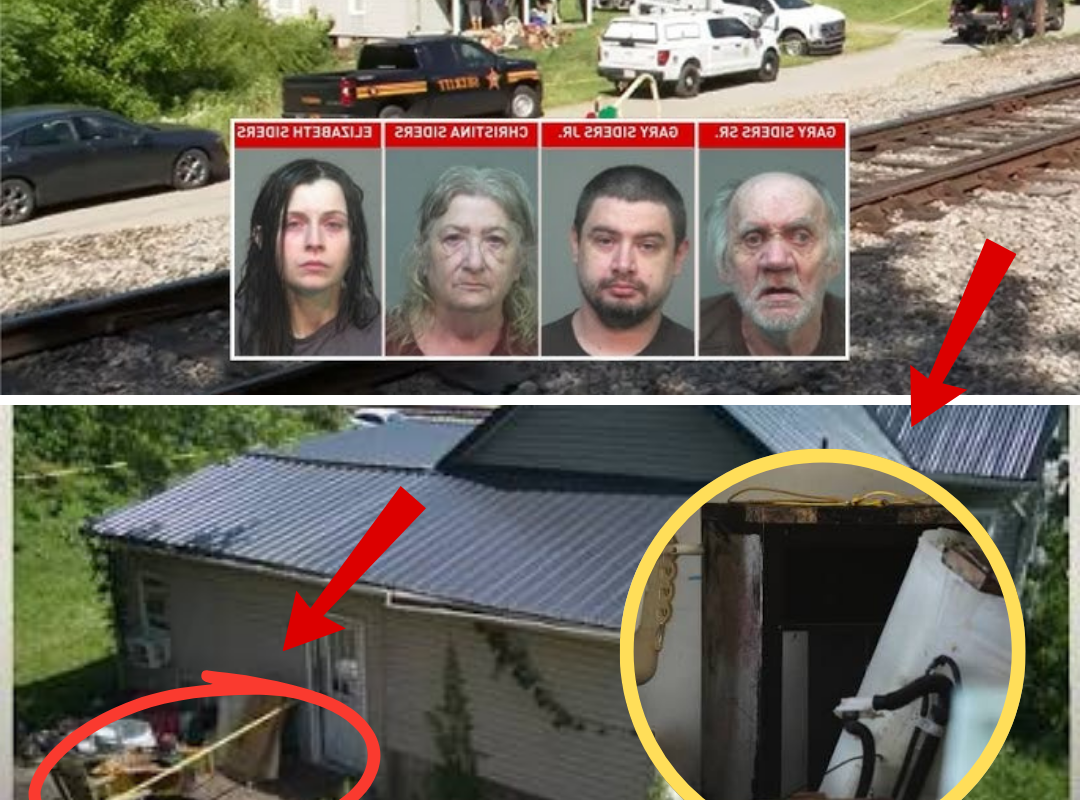 IF IT WASN’T HUMAN TRAFFICKING, THEN WHAT WAS IT? The Elizabeth Siders case took another chilling turn after prosecutors clarified the charges—but what officers discovered inside the basement left even veteran investigators shaken…