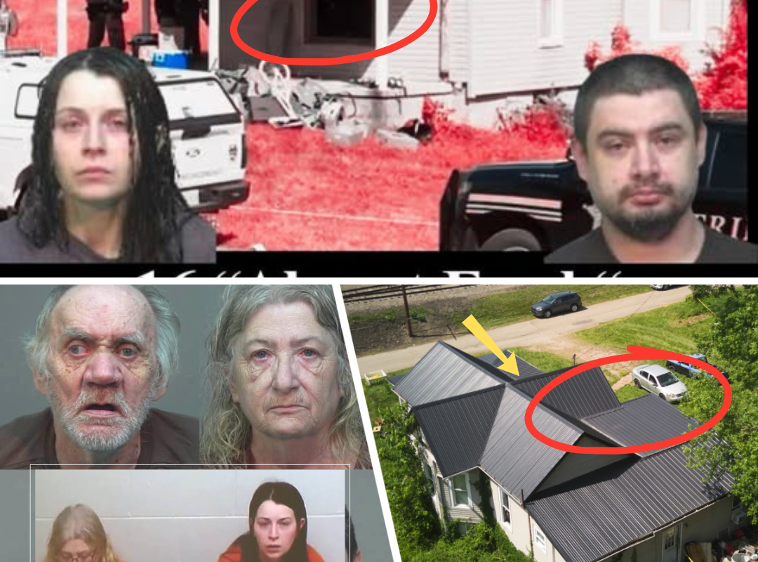 NEW COURT UPDATE: Testimony from Elizabeth Siders’ Husband’s Family Is Raising New Questions About Who Controlled the Children’s Daily Lives—and Why… 👇👇