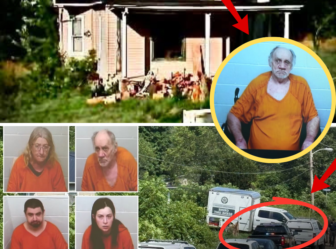 THE DNA CLUE THAT COULD CHANGE EVERYTHING: As Elizabeth Siders’ defense challenges the prosecution’s theory, investigators are focusing on forensic evidence tied to another resident of the house… 👇