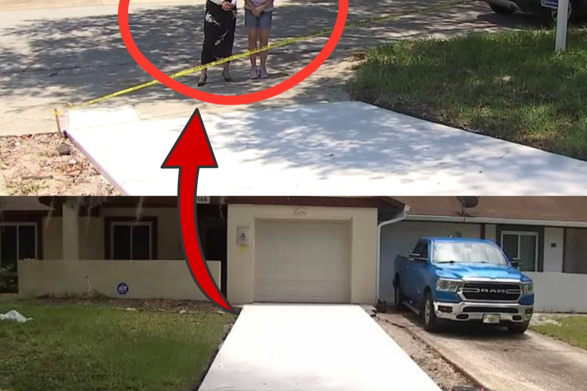 Florida Woman Finds Her Driveway Gone After Returning Home, Police Suspect a Nigeria-Linked Scam as Security Camera Footage Uncovers Bizarre Twist