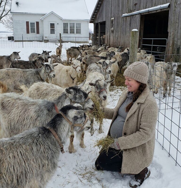 She spent the entire winter caring for dozens of abandoned elderly dairy goats while pregnant, leaving her Illinois neighbors convinced she couldn’t handle it—until the final day of winter changed everything